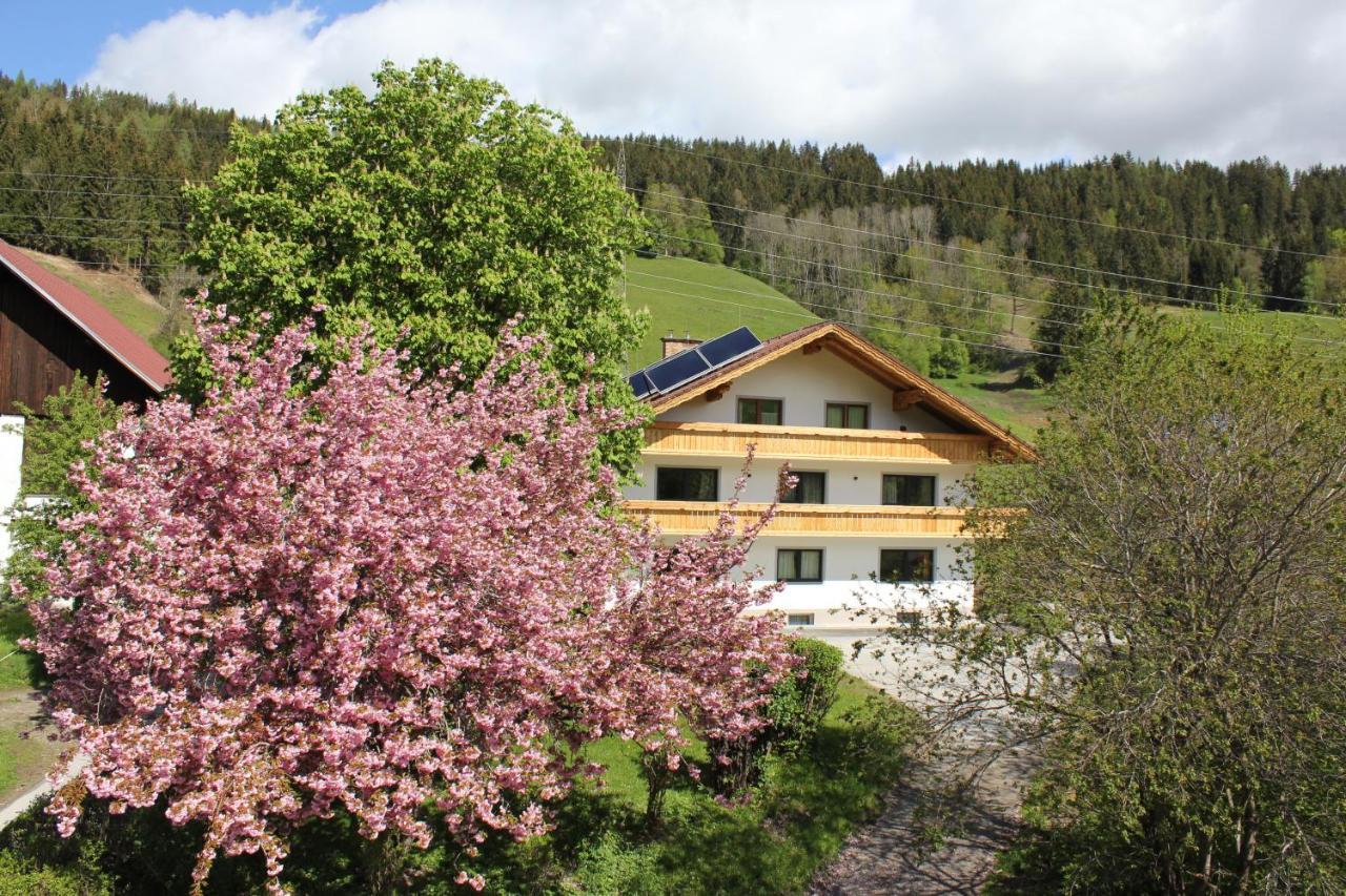 Eiblhof Apartment Schladming Exterior photo