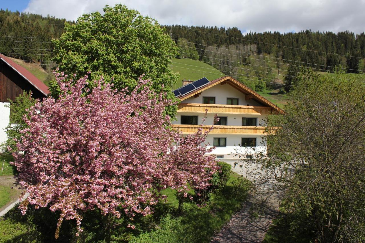 Eiblhof Apartment Schladming Exterior photo